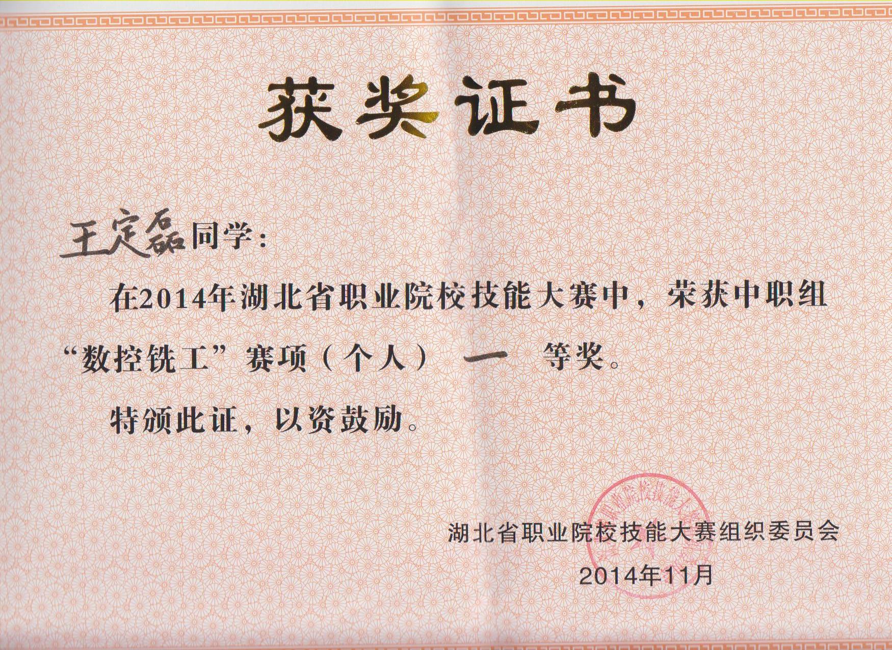 王定磊