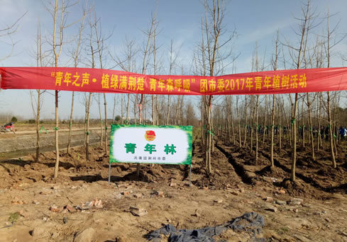 未命名-3 未命名-3