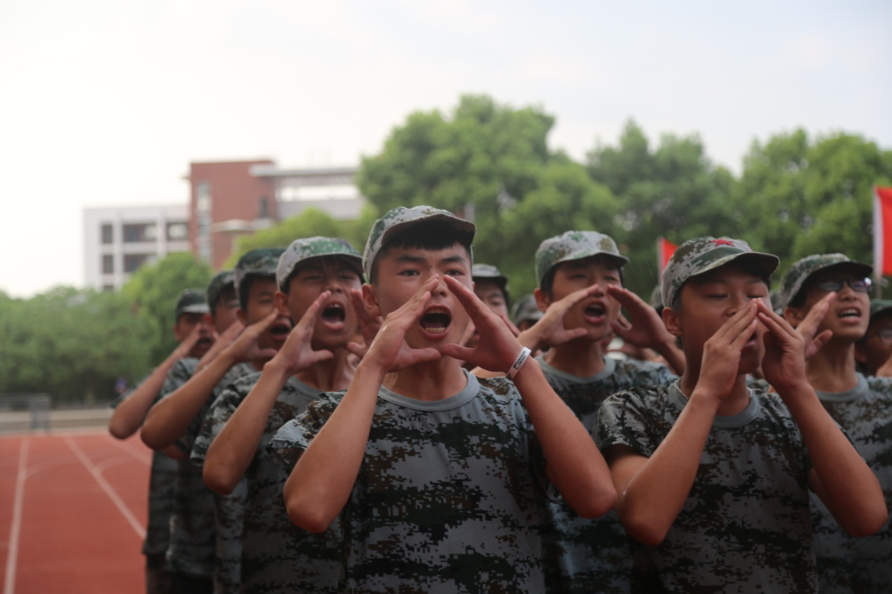 图片15 图片15