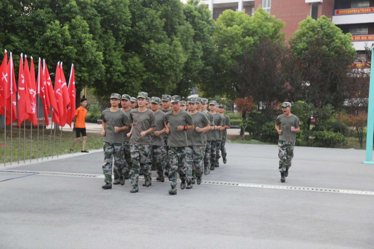 图片5