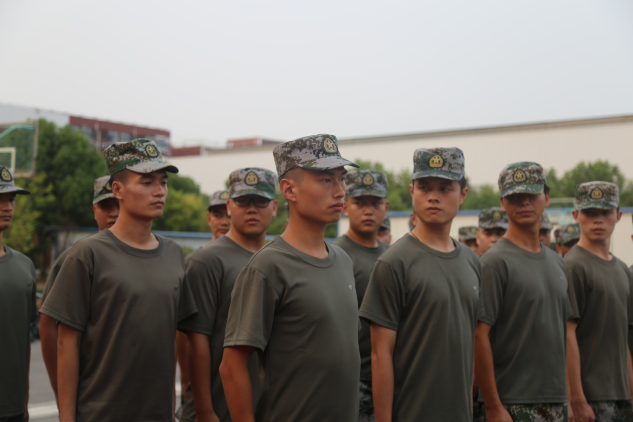 图片6