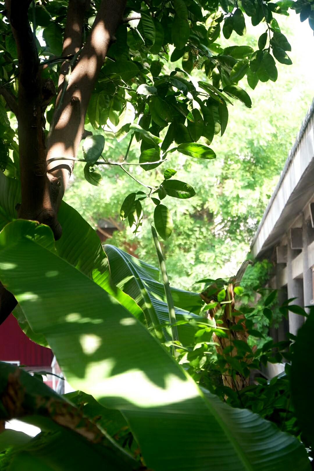 image8