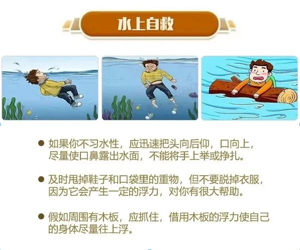 1650845232216321.png image.png