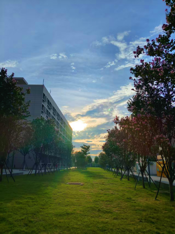 1760594968727322.png 图片 3.png